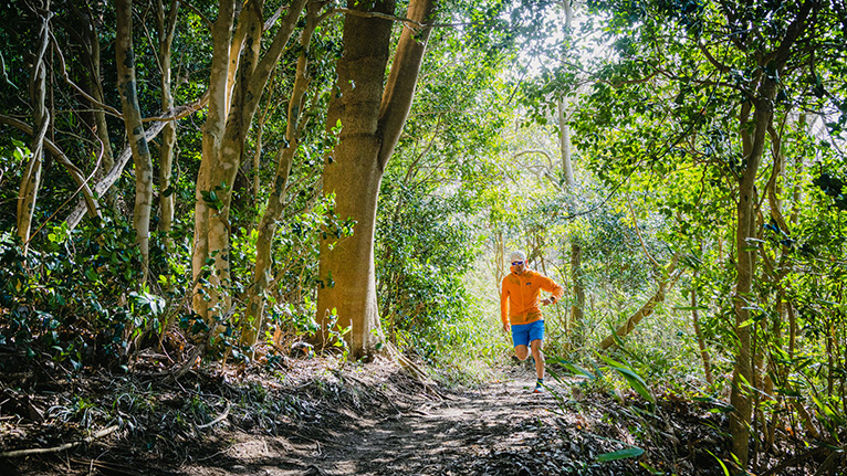 Runners Pulse