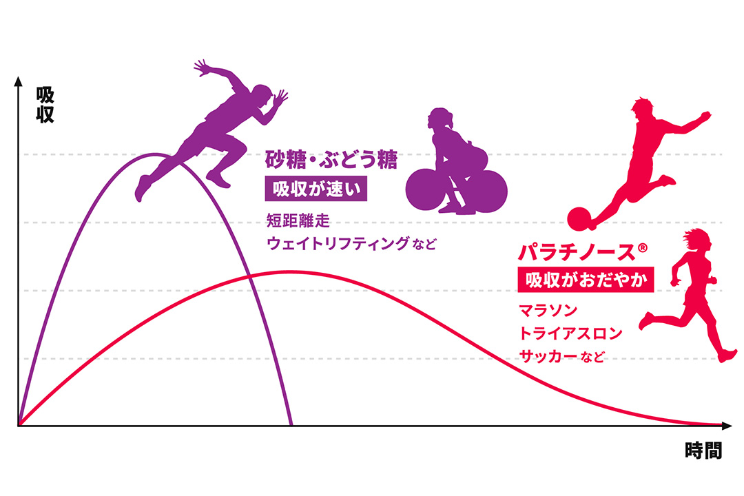 一流アスリートもサポート。トレイルランやマラソンなど持久系スポーツの栄養補給に、パラチノース配合のスポーツ向け粉末飲料「ピュアパラ」シリーズがいい理由