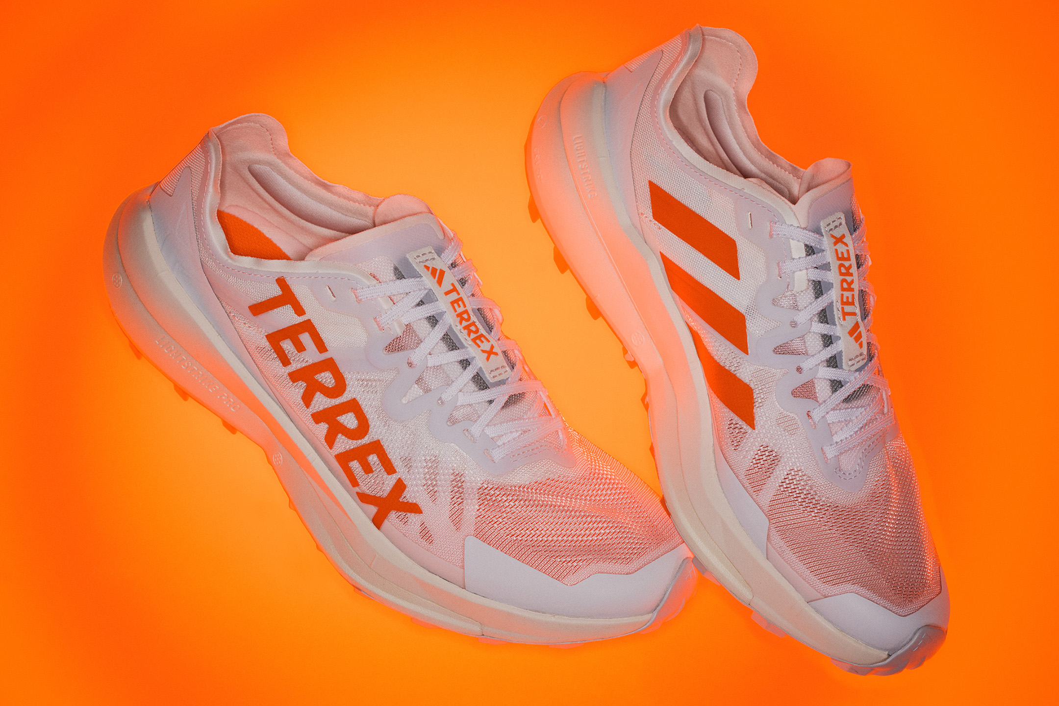 さまざまな地形や距離に対応する。adidas TERREX「AGRAVIC SPEED 」を試してわかった、その性能