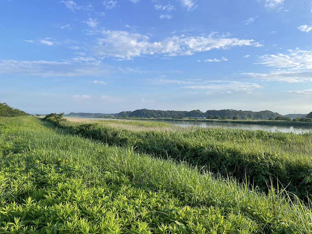 「住みやすい街」ランキング上位常連の千葉県印西市は「走りやすい街」でもある