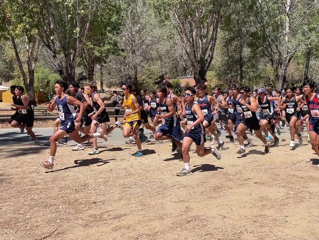 短距離を速く走るトレーニングは長距離ランナーにも有効