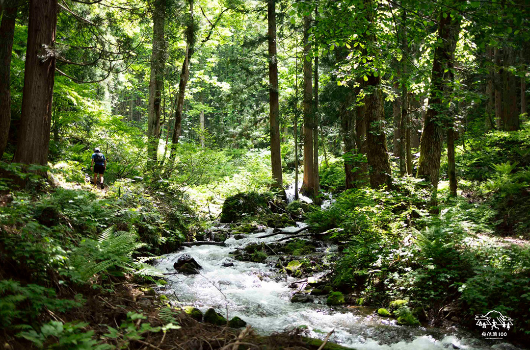 2026年6月5日~7日に開催の「奥信濃100」のエントリーがスタート。大会公式サイトも公開
