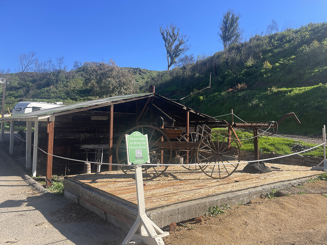 大火災から1年。復興途上の町、パシフィック・パリセイズで再開したトレイルを走る