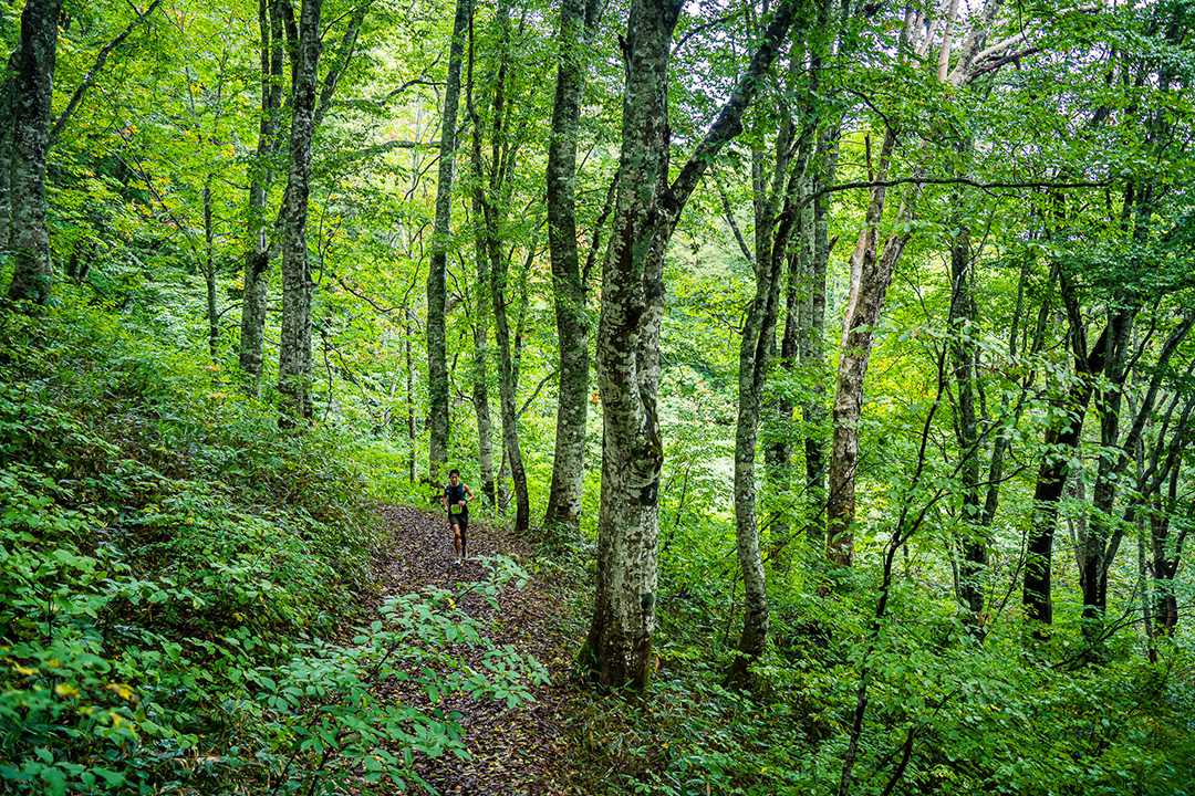 「信越五岳トレイルランニングレース 2026～パタゴニア CUP～」が、今年も9月21日～23日に開催決定
