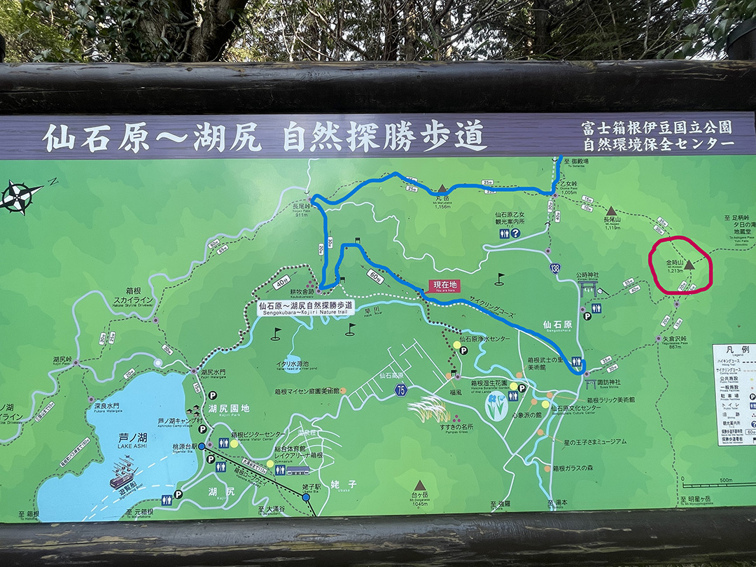 富士山を海と山から眺めるマラニック。旅ランするなら日本が最高！ のわけ