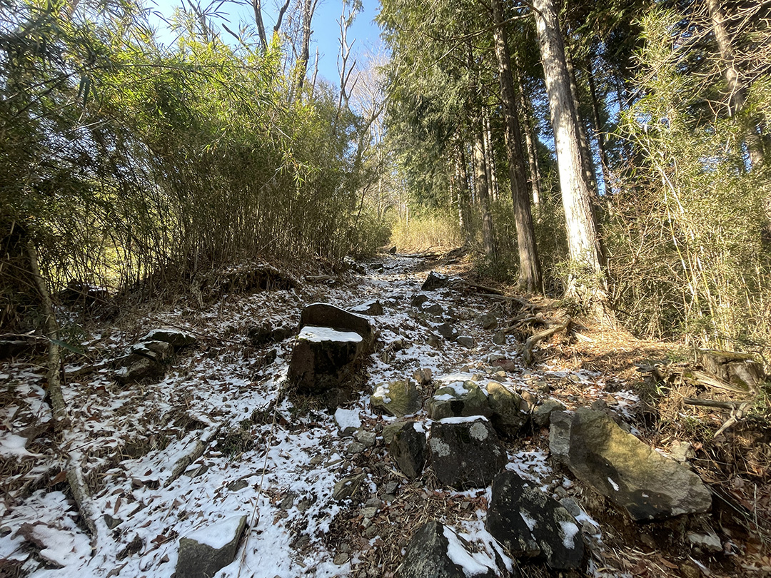 富士山を海と山から眺めるマラニック。旅ランするなら日本が最高！ のわけ