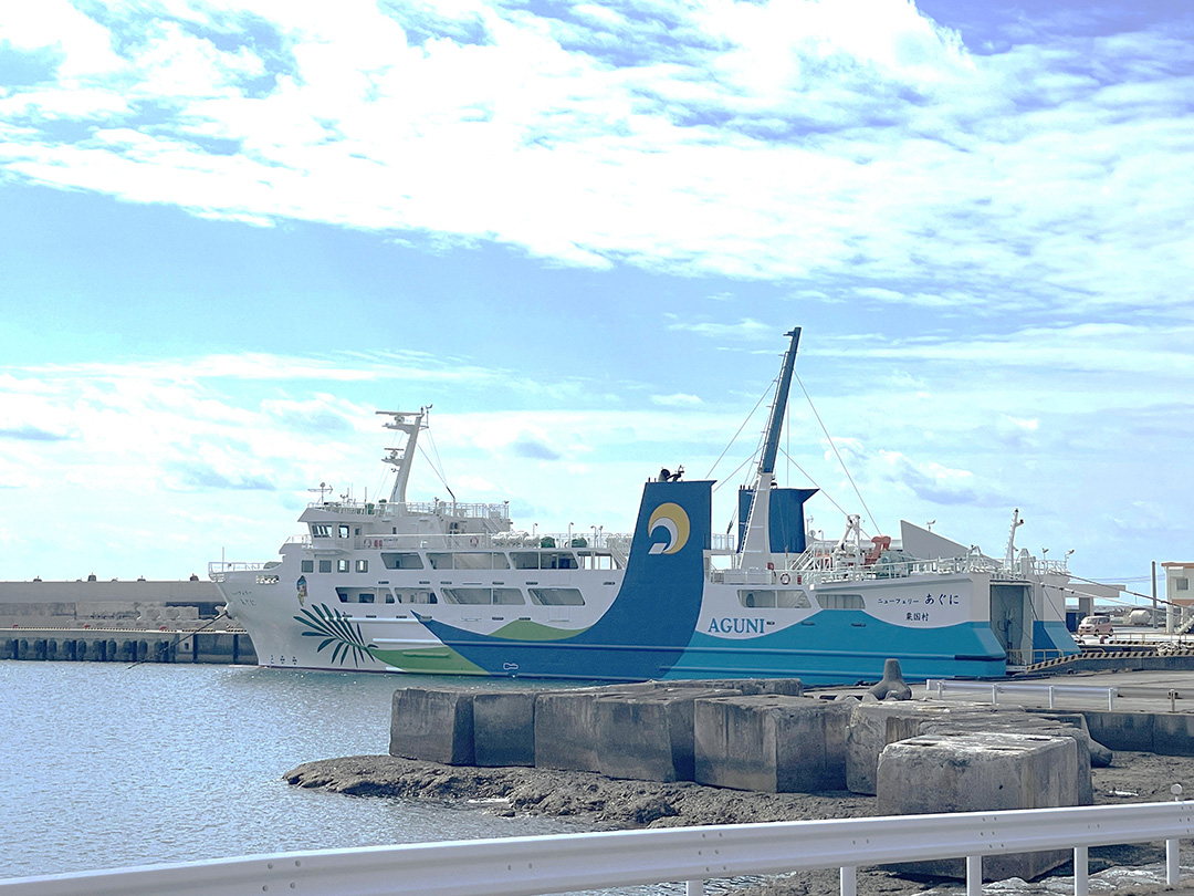 離れ島ランのオススメ。オフシーズンの沖縄はランナーの天国だと思うワケ