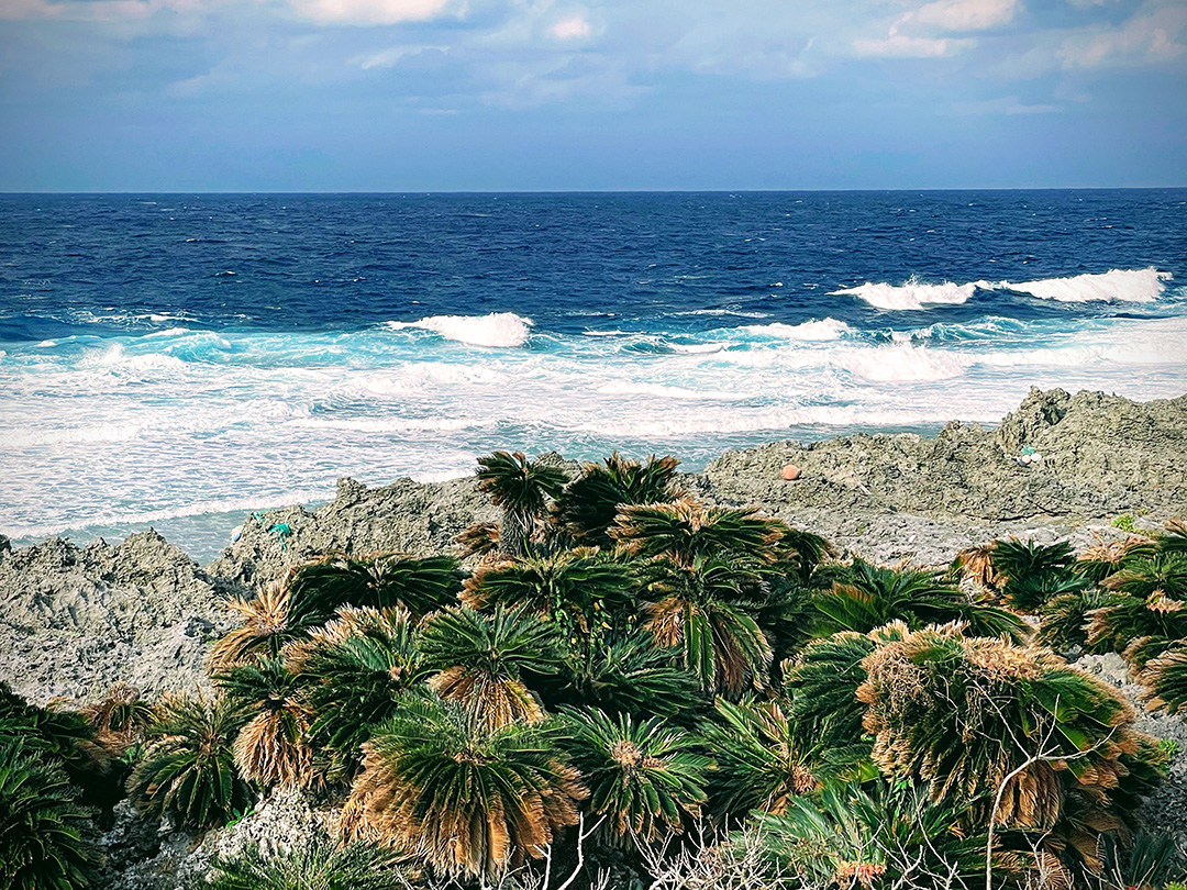 離れ島ランのオススメ。オフシーズンの沖縄はランナーの天国だと思うワケ